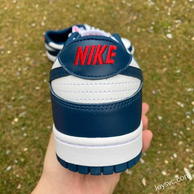 Nike Dunk Low Retro White Navy Casual Sneakers DD1391-400