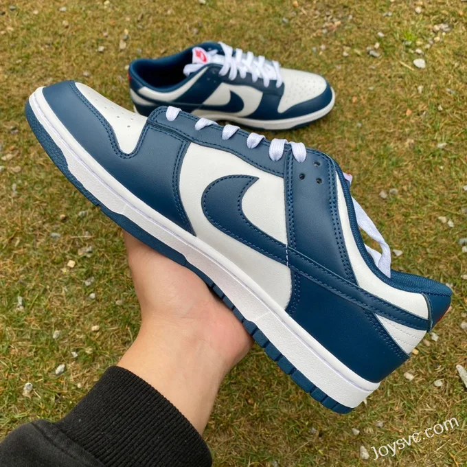 Nike Dunk Low Retro White Navy Casual Sneakers DD1391-400