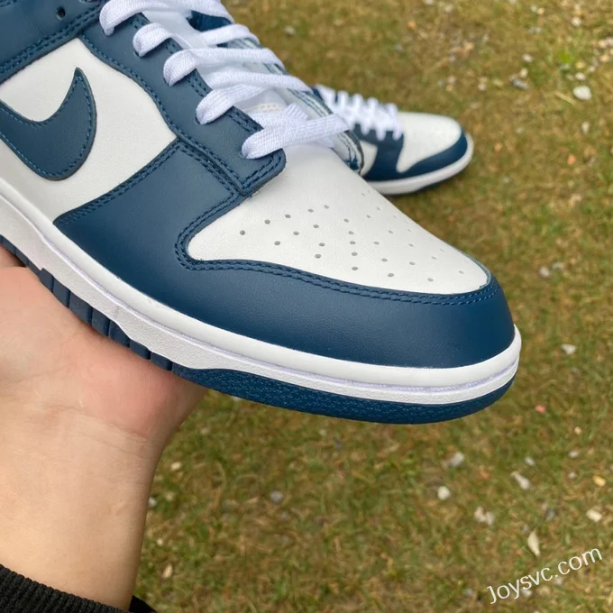 Nike Dunk Low Retro White Navy Casual Sneakers DD1391-400