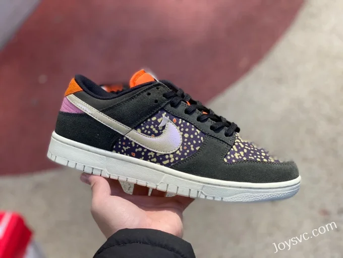 Nike Dunk Low Rainbow Trout FN7523-300