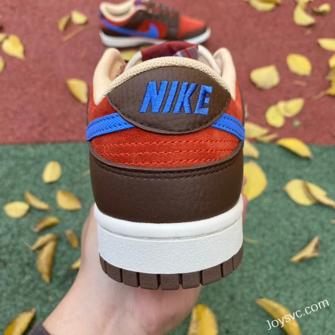 Nike Dunk Low Brown Blue DR9704-200