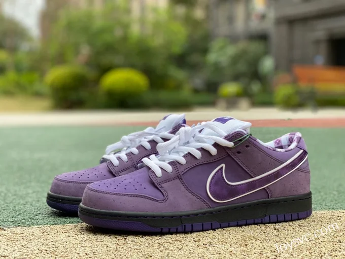 Nike SB Dunk Low Concepts Purple Lobster BV1310-555