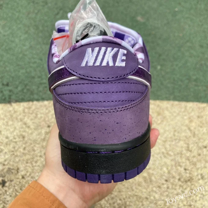 Nike SB Dunk Low Concepts Purple Lobster BV1310-555