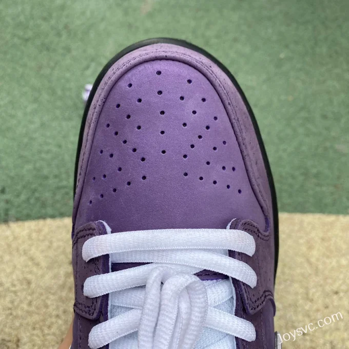 Nike SB Dunk Low Concepts Purple Lobster BV1310-555