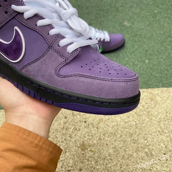 Nike SB Dunk Low Concepts Purple Lobster BV1310-555