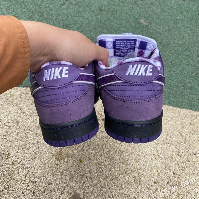 Nike SB Dunk Low Concepts Purple Lobster BV1310-555