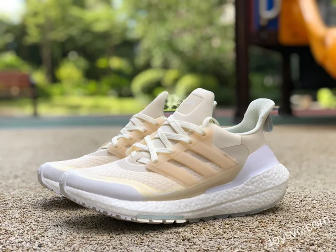 adidas UltraBoost 21 COLD.RDY Beige Brown FY3955