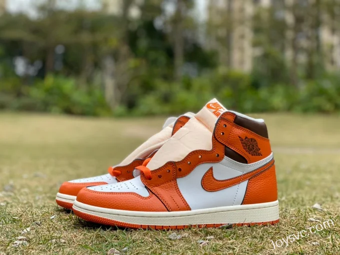 Air Jordan 1 High DO9369-101 Starfish