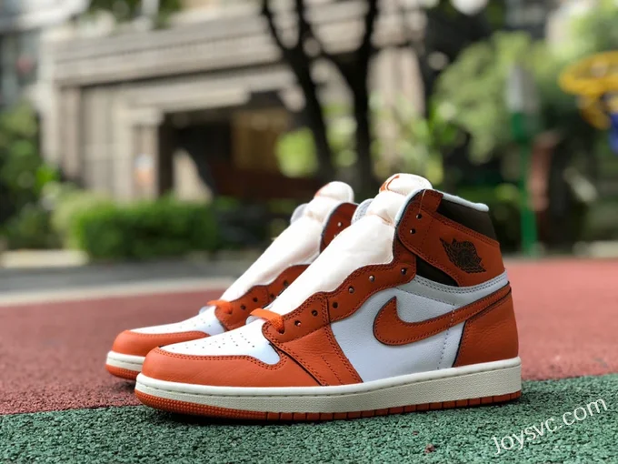 Air Jordan 1 High DO9369-101 Starfish