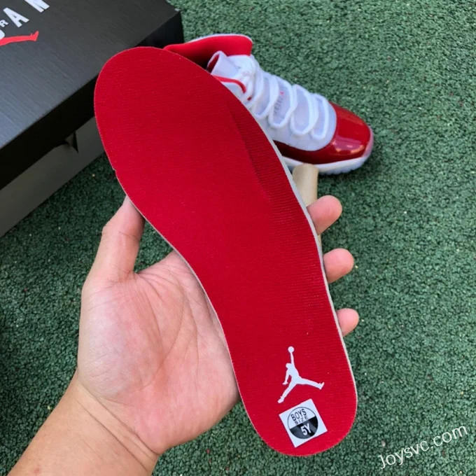 Air Jordan 11 