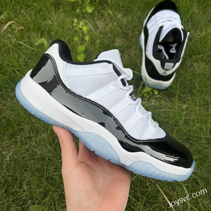 Air Jordan 11 Low Concord GS 528896-153