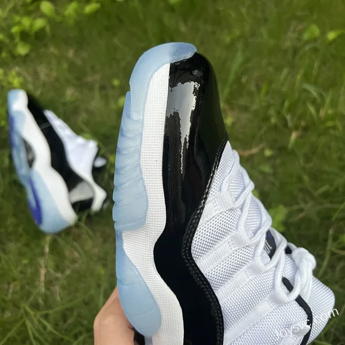 Air Jordan 11 Low Concord GS 528896-153