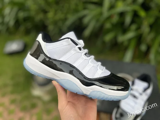 Air Jordan 11 Low Concord GS 528896-153