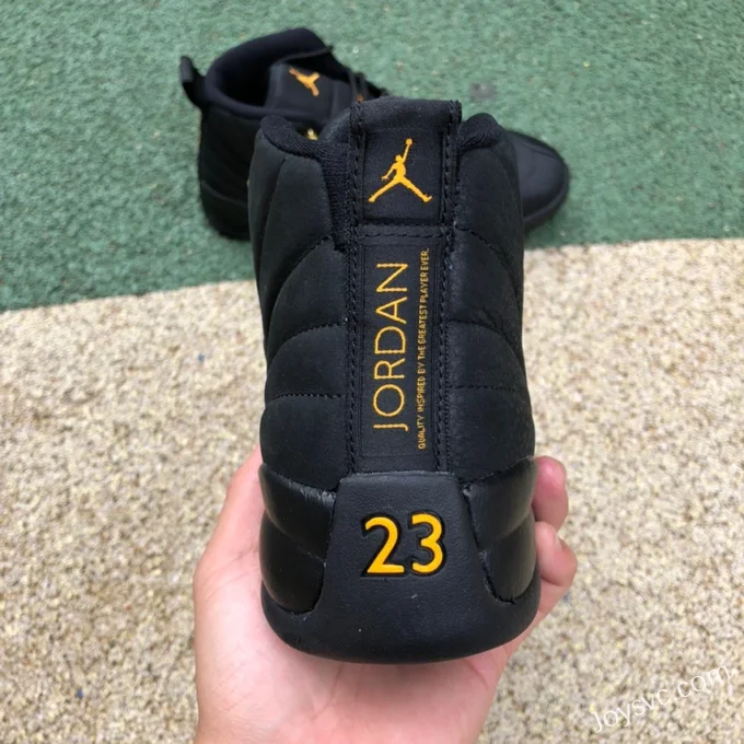 Air Jordan 12 