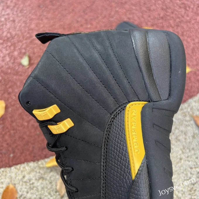 Air Jordan 12 Retro Black Taxi CT8013-071