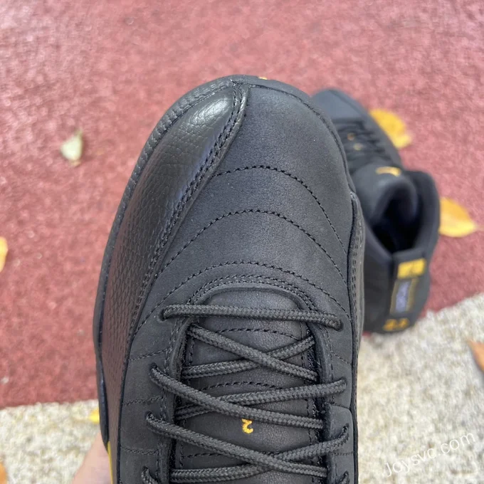 Air Jordan 12 Retro Black Taxi CT8013-071