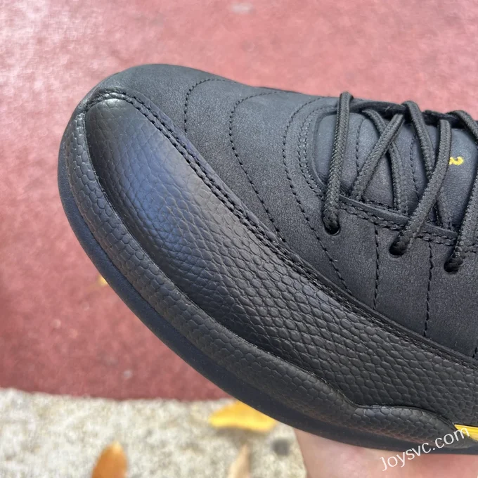 Air Jordan 12 Retro Black Taxi CT8013-071