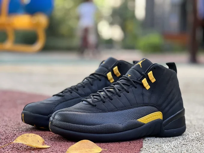 Air Jordan 12 Retro Black Taxi CT8013-071