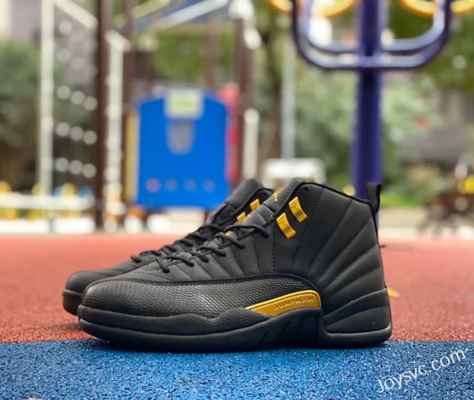 Air Jordan 12 Retro Black Taxi CT8013-071