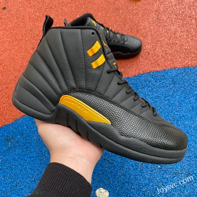 Air Jordan 12 Retro Black Taxi CT8013-071