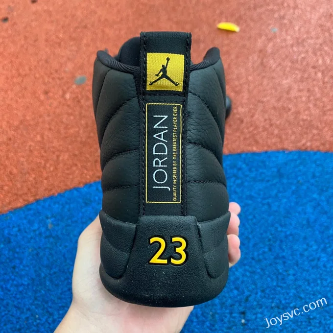 Air Jordan 12 Retro Black Taxi CT8013-071