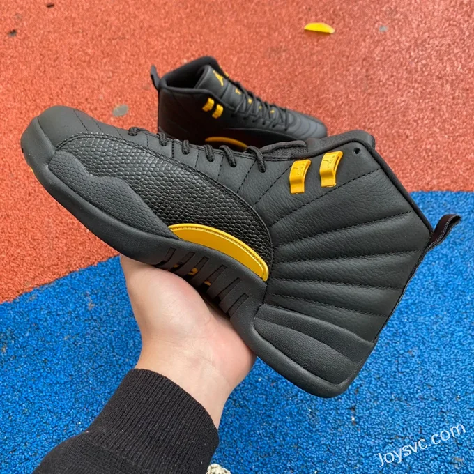 Air Jordan 12 Retro Black Taxi CT8013-071