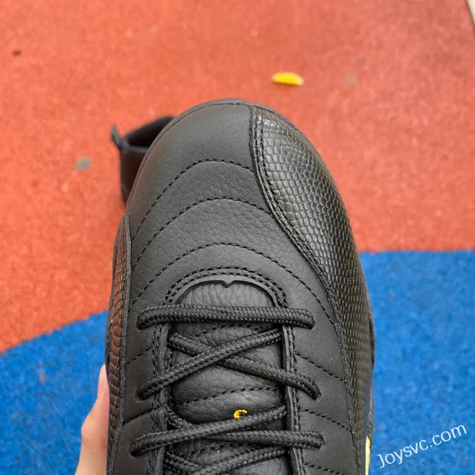 Air Jordan 12 Retro Black Taxi CT8013-071