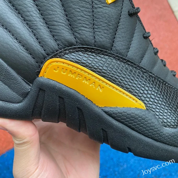 Air Jordan 12 Retro Black Taxi CT8013-071