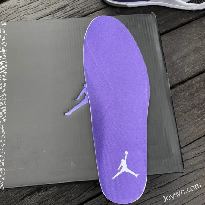 Air Jordan 3 Dark Iris CT8532-105 White Purple