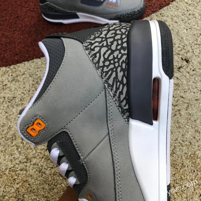 Air Jordan 3 Cool Grey CT8532-012