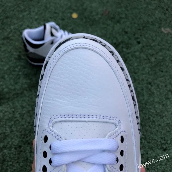 Air Jordan 3 Oregon White Black