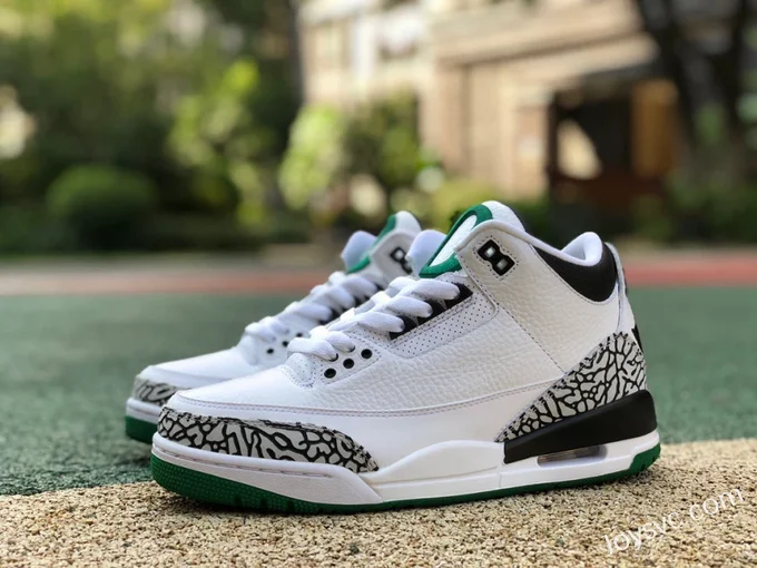 Air Jordan 3 Oregon White Black