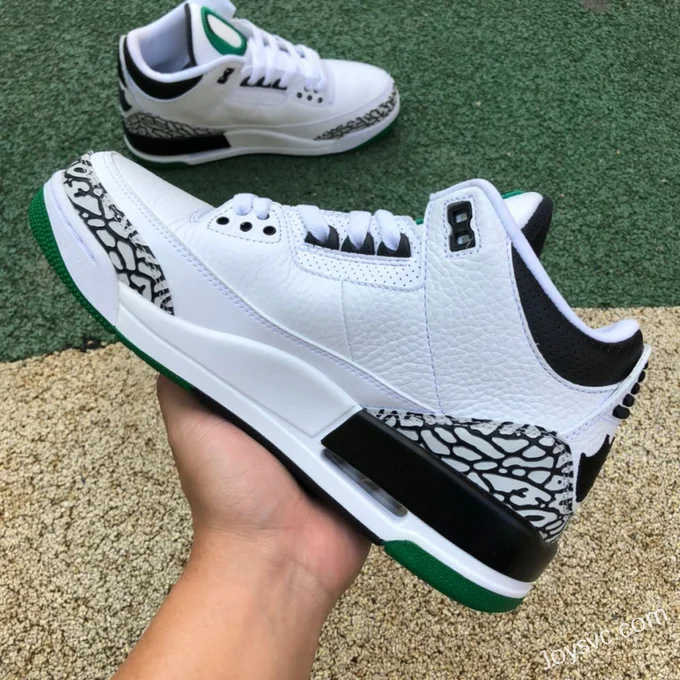 Air Jordan 3 Oregon White Black