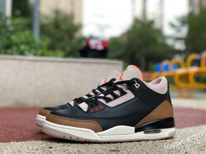 Air Jordan 3 Desert Elephant CT8532-008 Black Brown