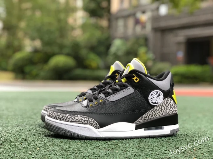 Air Jordan 3 Oregon White Black