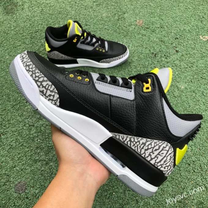 Air Jordan 3 Oregon White Black