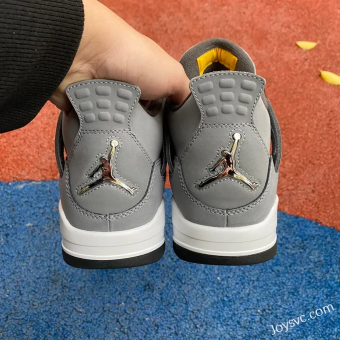 Air Jordan 4 Cool Grey 308497-007