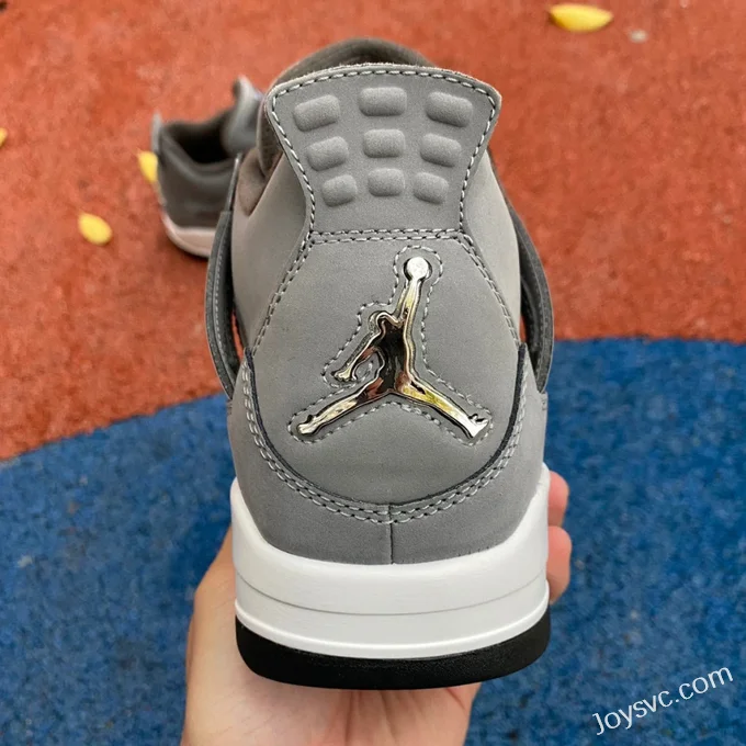 Air Jordan 4 Cool Grey 308497-007