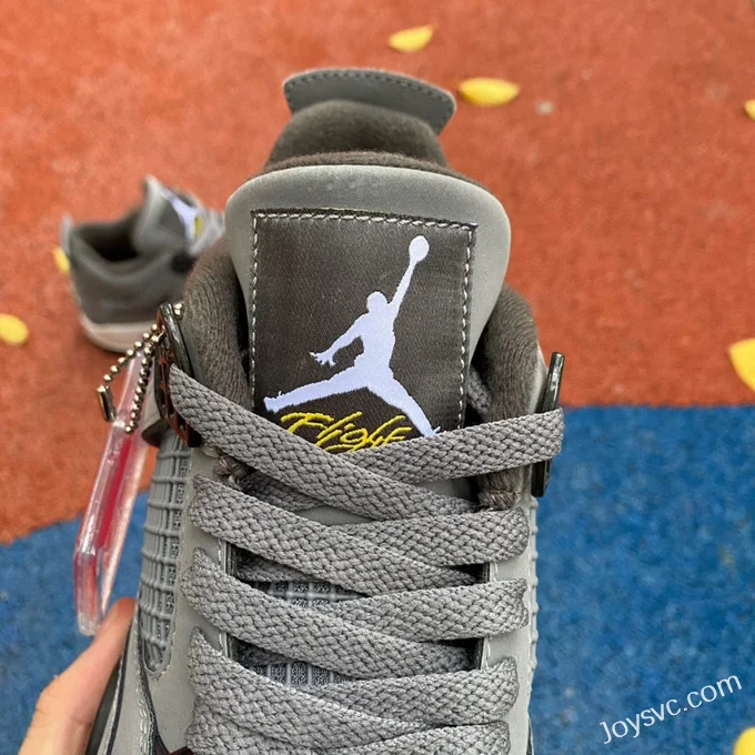 Air Jordan 4 Cool Grey 308497-007