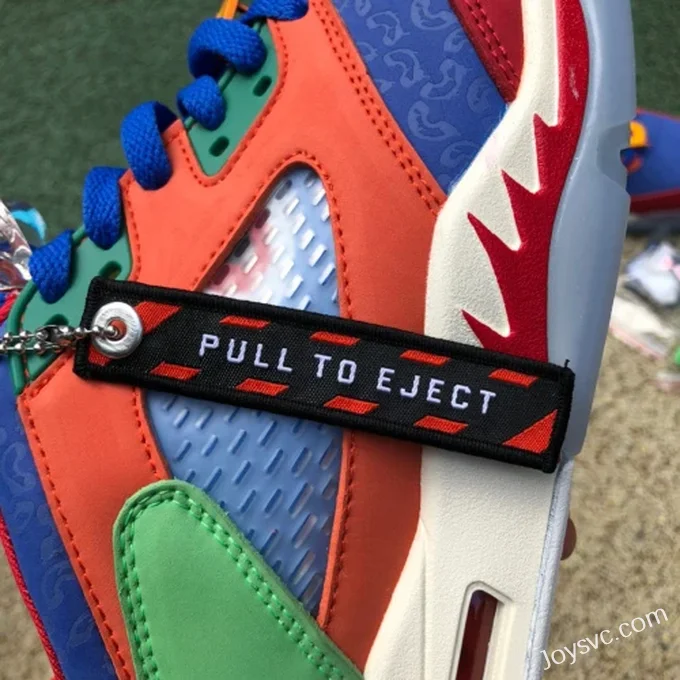 Air Jordan 5 Low DR6287-486 Multicolor