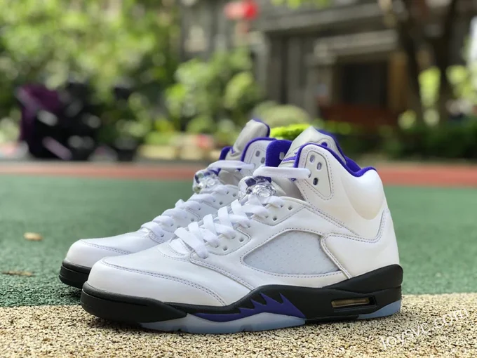 Air Jordan 5 Concord DD0587-141 White Purple