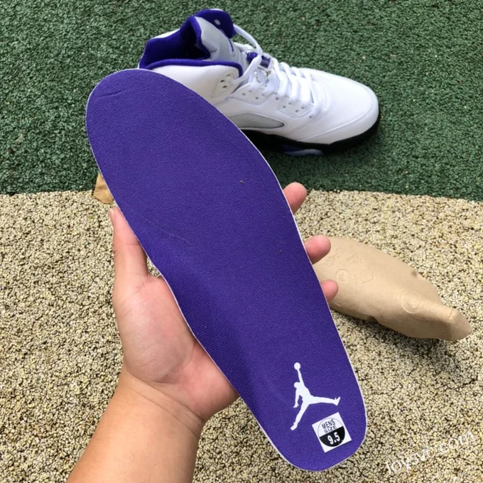 Air Jordan 5 Concord DD0587-141 White Purple