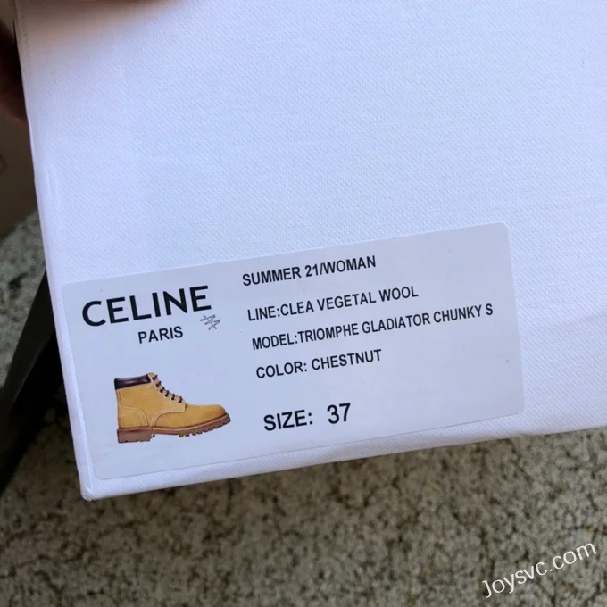 CELINE Leather Lace-Up Ankle Boots for Women in Brown