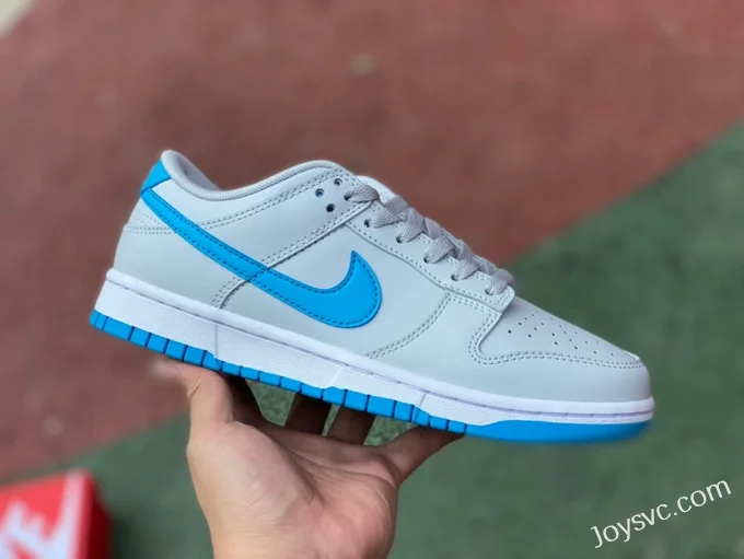 Nike Dunk Low Retro Blue Grey Cushioned Low-Top Sneakers DV0831-001