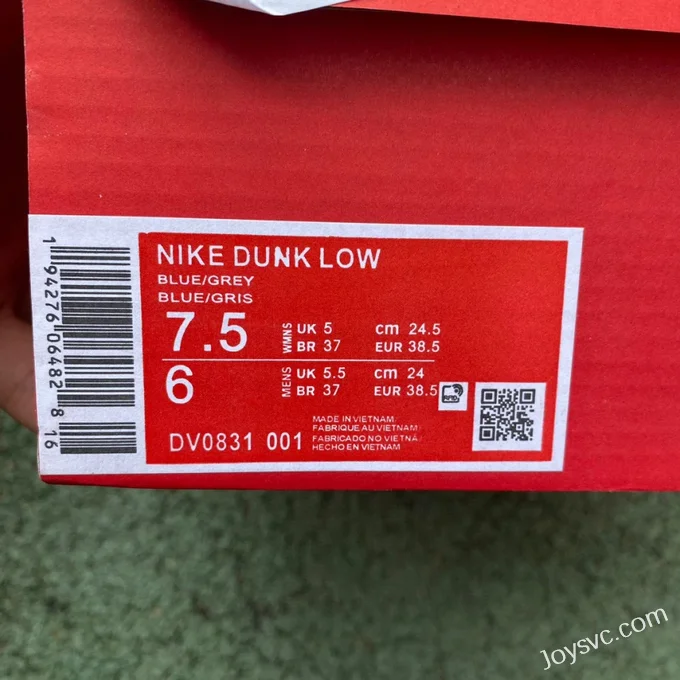 Nike Dunk Low Retro Blue Grey Cushioned Low-Top Sneakers DV0831-001