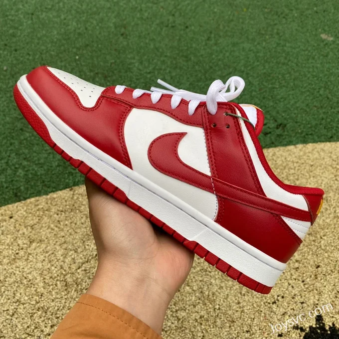 Nike Dunk Low Retro Gym Red White Red DD1391-602