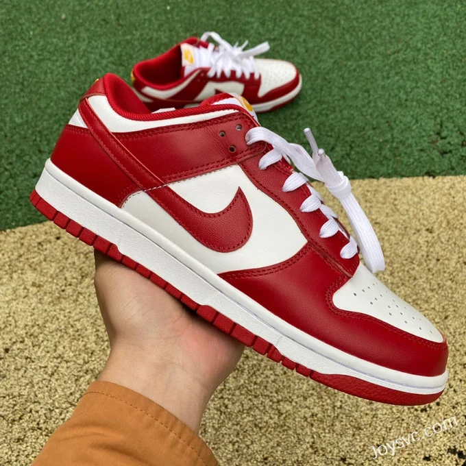 Nike Dunk Low Retro Gym Red White Red DD1391-602