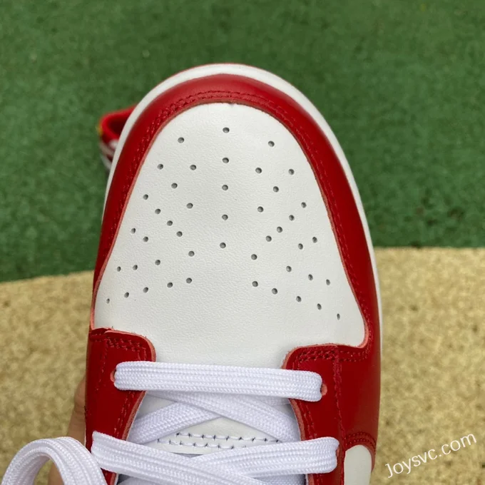 Nike Dunk Low Retro Gym Red White Red DD1391-602