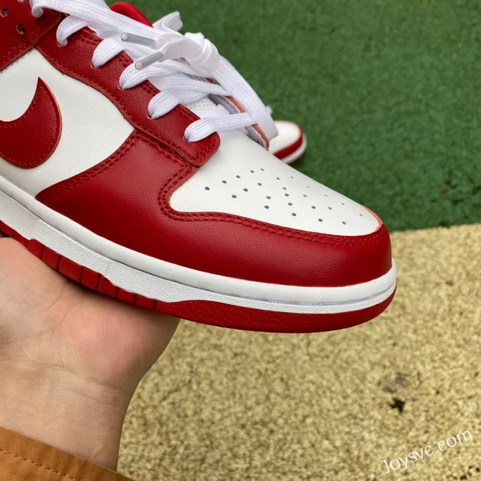 Nike Dunk Low Retro Gym Red White Red DD1391-602