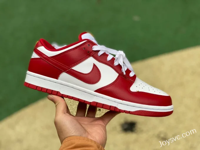 Nike Dunk Low Retro Gym Red White Red DD1391-602